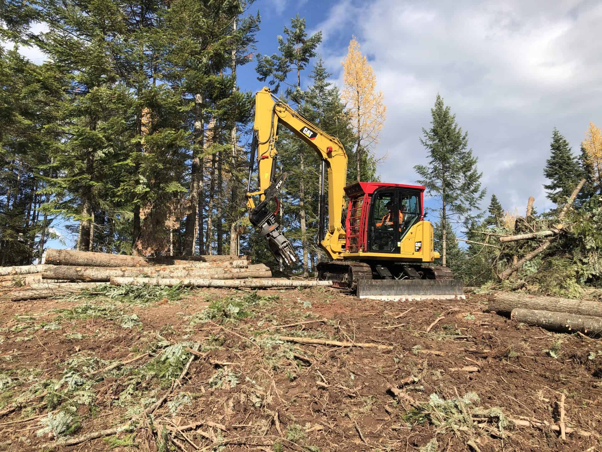 Forestry Mulching 1